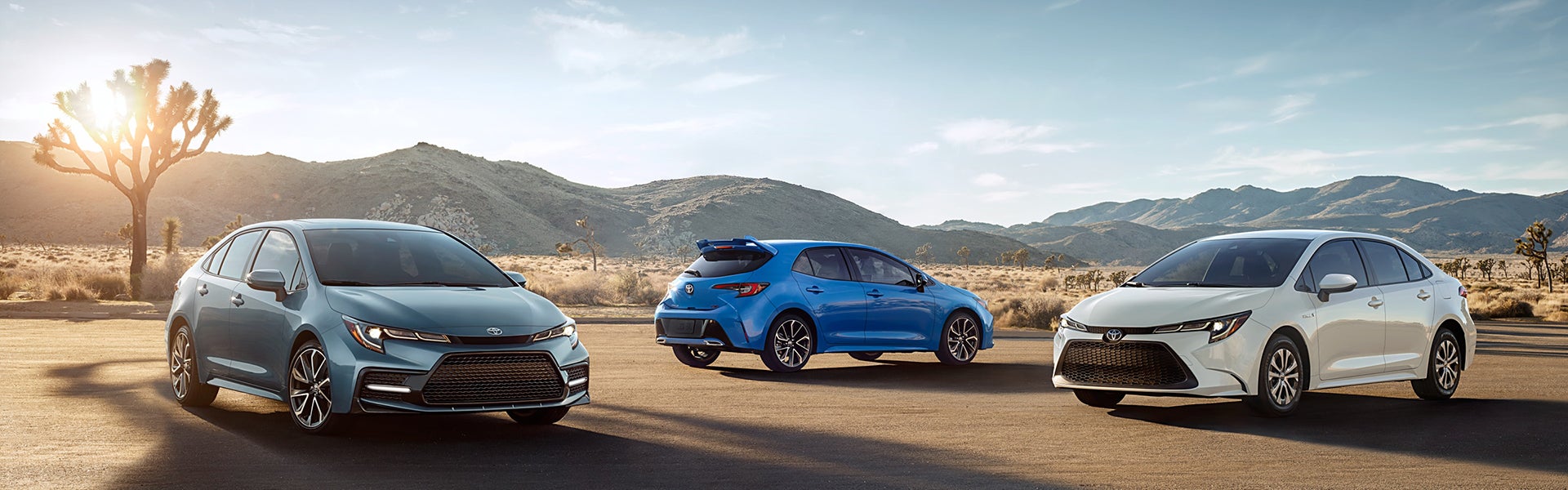 2020 Toyota Corolla Lineup