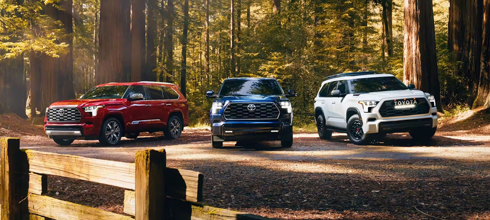Three Toyota SUVs, parked amongst trees,