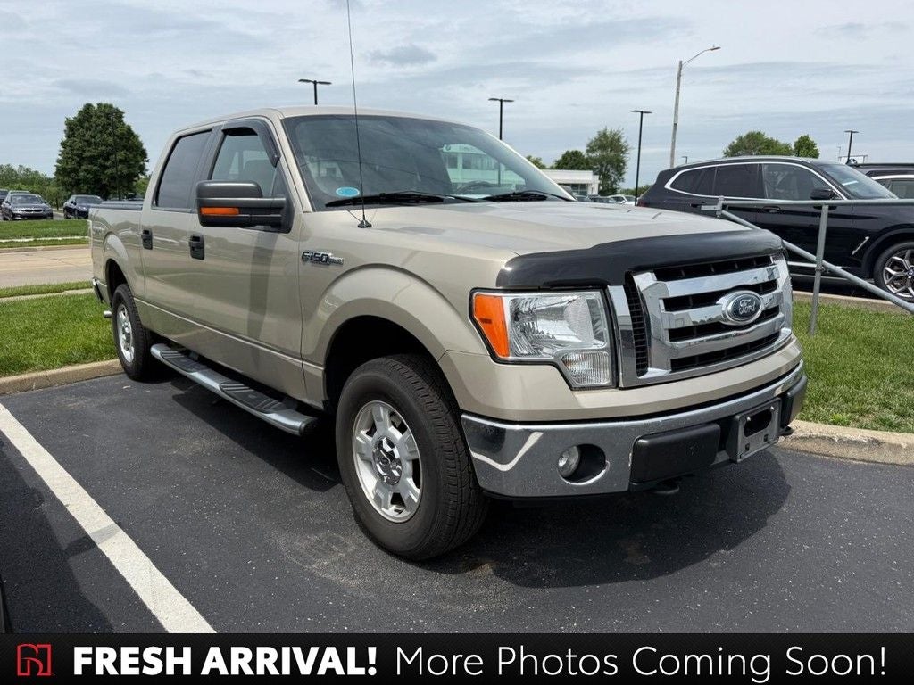 2009 Ford F-150 Base