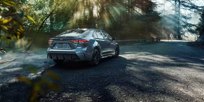 Black Corolla parked in woods