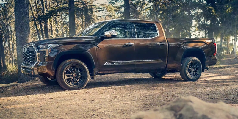 Exterior view of Tundra parked in woods