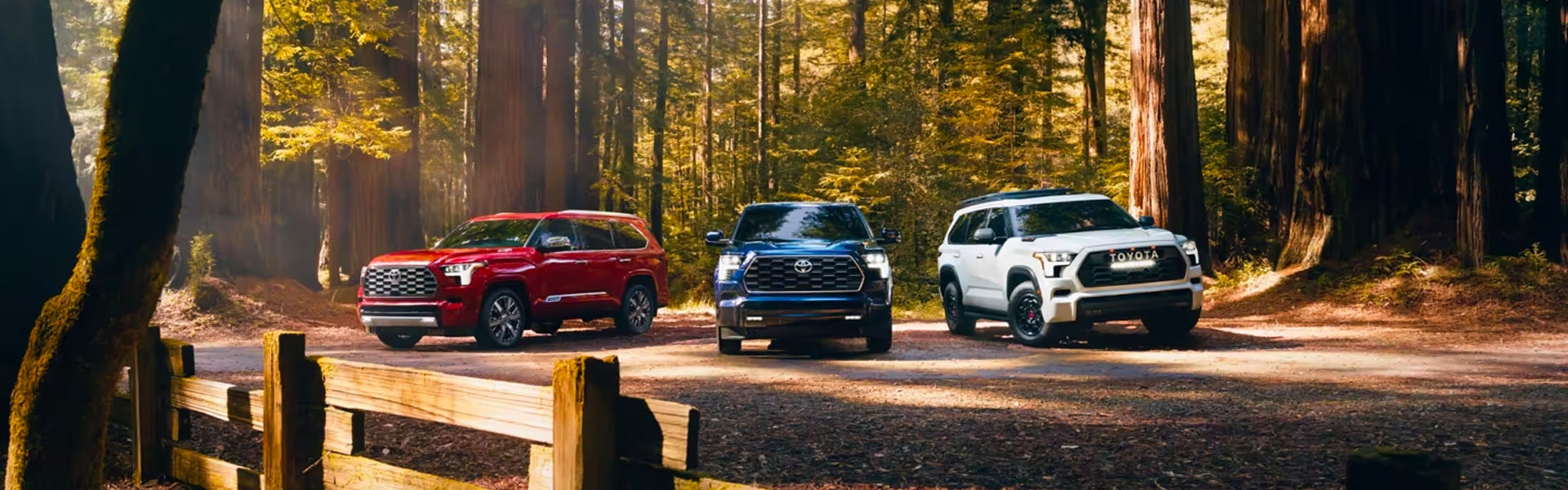 Three 2024 Toyota Sequoia's are parked in a forest